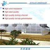 Hot Sale Plastic Film Greenhouse, Vegetables Greenhouse thumbnail-1