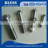 Hot Sale Molybdenum Standard Component Bolt Screw Nut Washer With Superior Quality thumbnail-1