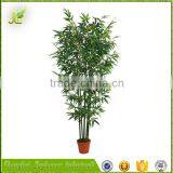 Customized Low Price Enviroment Friendly Bamboo Bonsai Tree thumbnail-5