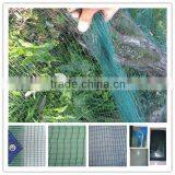 China Supply100% HDPE Olive Harvest Net/olive Net for Agriculture (32g-92g Olive Net )
