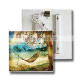 2016 TUV GS/SAA/Rohs/CE Infrared Heater Frameless Electric Heating Panel Painting 360w/720w/960/1200w