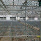 Network Type Kyws 9.6m Glass Greenhouse thumbnail-6