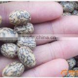 China Best Selling and High Quality Manual Wood Bead Making Machine for Decoration(skype:finecm) thumbnail-6