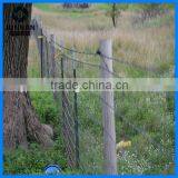 1.33lbs/feet 8FT Green Painted Studded T Post Wholesale thumbnail-3