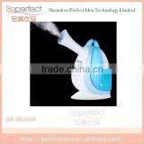 Rechargeable Handheld Micro Mist Hair Steamer thumbnail-5