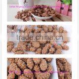 Japanese Traditional Sugar Coated Peanut thumbnail-1