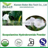 Natrual 98% Scopine Tropate Hydrobromide