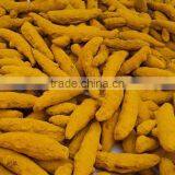 Turmeric for Iran thumbnail-2