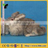 New Products Miniature Animals Gardening Wholesale Taxidermy thumbnail-6