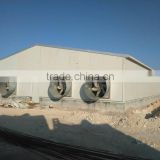 Large-scale automatic poultry farm design for chicken