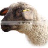 High Quality Printable 125khz Tk4100 Rfid Animal Ear Tag (Factory Price) thumbnail-1