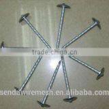 Umbrella Roofing Nails/Corrugated Roofing Nails/ Square Roofing Nails thumbnail-1