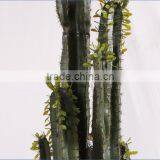 SJ3001015 Hot Artificial Cactus Plant Plastic Cactus Craft Plant/indoor Decorative Cactus thumbnail-2