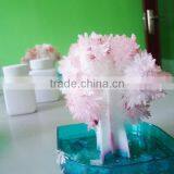 DIY Crystal Growing Science Kit-Grow Your Own Magic Crystal Tree for Kids Playing thumbnail-3