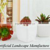 Artificial Green Mini Plants for Office Decoration thumbnail-5