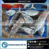 Premium Grade and Genuine Tuna Fish Frozen for Low Wholesale Price thumbnail-1