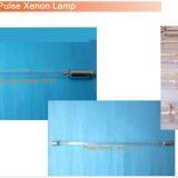 Ксеноновая лампа thumbnail-3