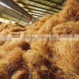 high quality coconut fiber
