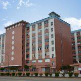 Foshan Wilpac Packaging Machinery Co. Ltd. company overview - view 1 thumbnail