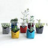Home Decoration Felt Flower Pot for Living Room thumbnail-2
