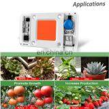 110V 220V Driverless Solderless Full Spectrum White Warm White Cob 50w Led Chip thumbnail-6