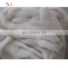 Pure Comded Mongolian Raw Sheep Cashmere Wool Fiber For Sale