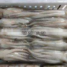 Good Quality BQF Frozen Squid Tentacle for Export thumbnail-4