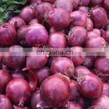Sinocharm Frozen Vegetable Red Onion Yellow Onion Peeled Frozen Fresh Onions for Sale thumbnail-2