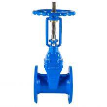 Resilient Seated Gate Valve für kommunale Wasseraufbereitungsanlagen mit MTR thumbnail-3