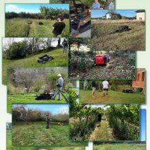 Overgrown Fields Vegetation Reclamation MTSK1000 Remotely Controlled Multi-functional Flail Mower thumbnail-6