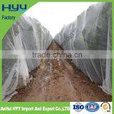 100% VIRGIN HDPE ANTI BEE NET(HYY FACTORY) thumbnail-6