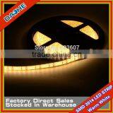 Led Tape 3014 SMD 600LED Flexible Strip Light 5M Waterproof IP65 High Brightness CE RoHs Indoor Outdoor Light Stripe