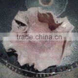 Brilliant Flat Cut Bowls Handmade and Factory Price Salad Root Carving Bowl thumbnail-2