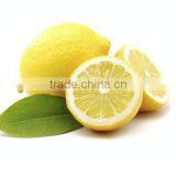 CONCENTRATED FROZEN ITALIAN LEMON JUICE