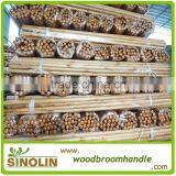 Varnished Wooden Broom Handle for Palestin Market thumbnail-2