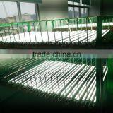 High Lumen 12W 900mm T5 Tube LED Lighting IP44 Rating for School Light thumbnail-3