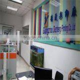 Guangzhou Dezheng Printing Co., Ltd. company overview - view 2 thumbnail