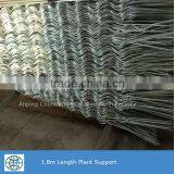 Glavanized Steel Bar Tomato Spiral Support Rod for Plant Climbing thumbnail-5