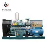 Diesel Engine Generator Set Powered by CW200