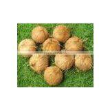 Semi Husked Cocount thumbnail-2