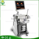 FM-480D Economic Style Color Doppler ultrasound with 4D real time probe
