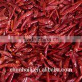 2014 New Crop- Xinyidai Chili thumbnail-1