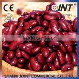 High Quality Organic Round / Long Shape Dark Red Kidney Beans thumbnail-3
