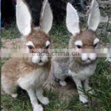 Easter Bunny Furry Animal Cheap Easter Gift Bunny thumbnail-5