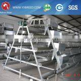 20000 Layer Farm Equipment Large Scale Automatic Project thumbnail-1