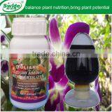 100% Water Soluble High Concentration Liquid Boron Fertilizer thumbnail-1