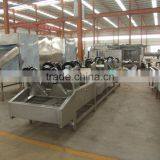 Customized Apple Washing Process Line for Manufacturing thumbnail-2
