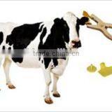HF/ UHF Animal Identification Rfid Tag for Cattle/cow/ Livestock thumbnail-5