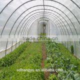 Polaycarbonate Greenhouse Kits thumbnail-3