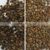 ZRWS Ccd Cereal Nut Color Sorter Supplier With Competitive Price thumbnail-3